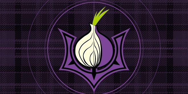 Tor browser on kali как настроить браузер тор на пк
