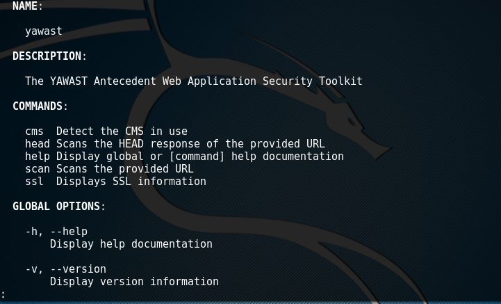Install YAWAST - The Antecedent Web Application Security 