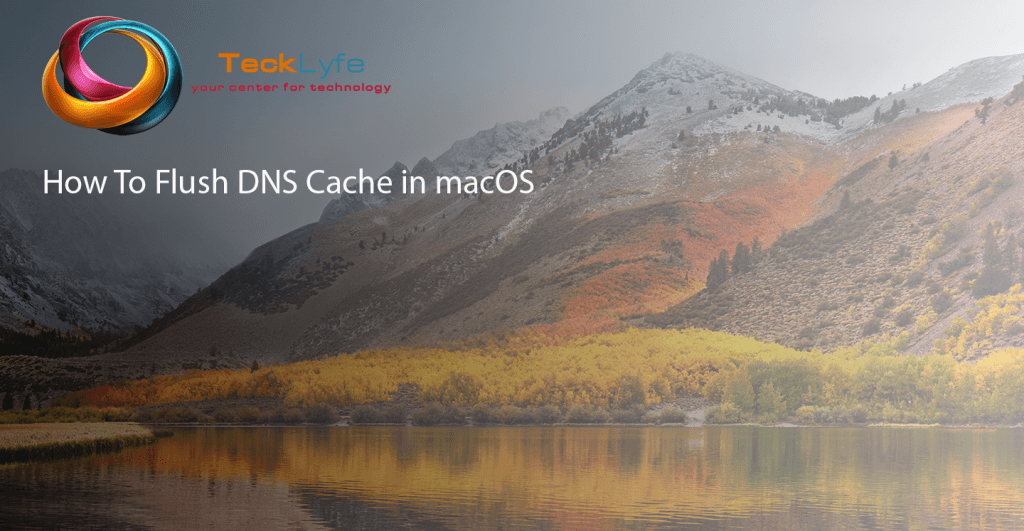How To Flush DNS Cache in MacOS 1