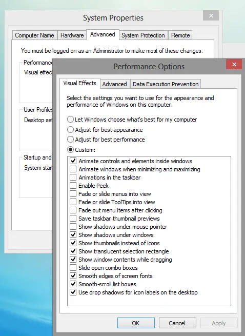 Windows 11 Performance Options